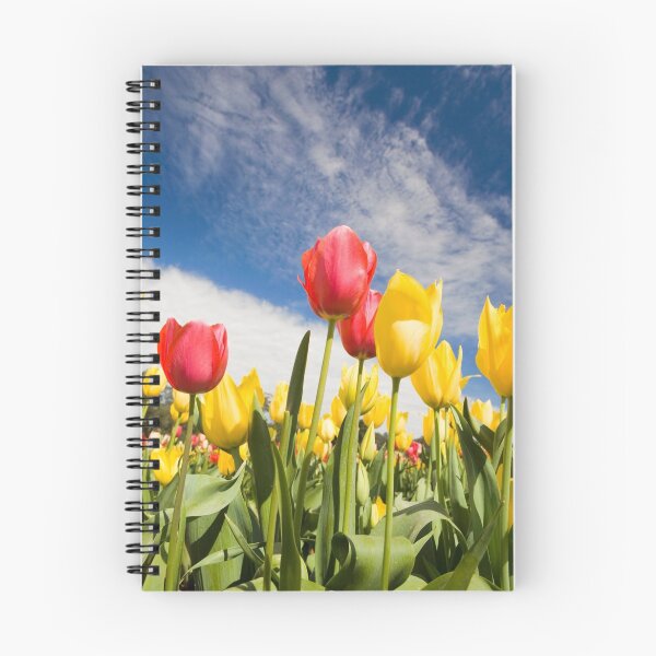 Item preview, Aiming high designed and sold by Stephotos.