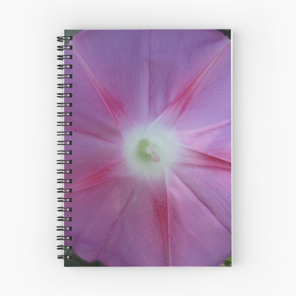 Artikelvorschau, light through pink petals in late September entworfen und verkauft von Laurkat.