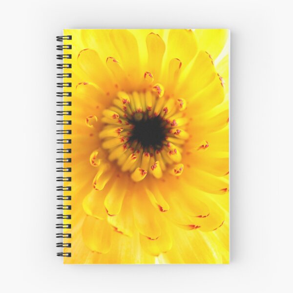 Item preview,  Colourful Calendula designed and sold by Caroline Scott.