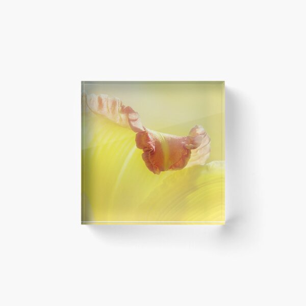 Item preview, Lily With The Fringe On Top  designed and sold by Kathilee.