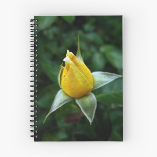 Item preview, Yellow rose designed and sold by Amberino.