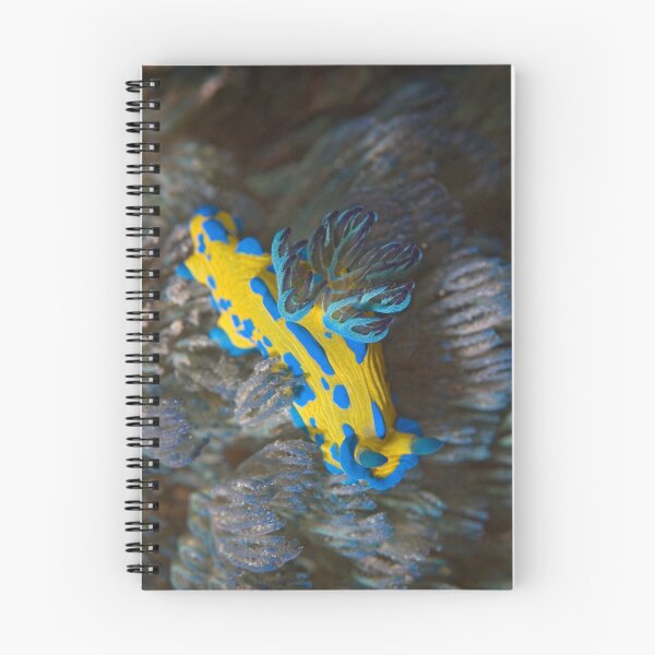 Item preview, Bottom of the harbour designed and sold by Stephen Colquitt.