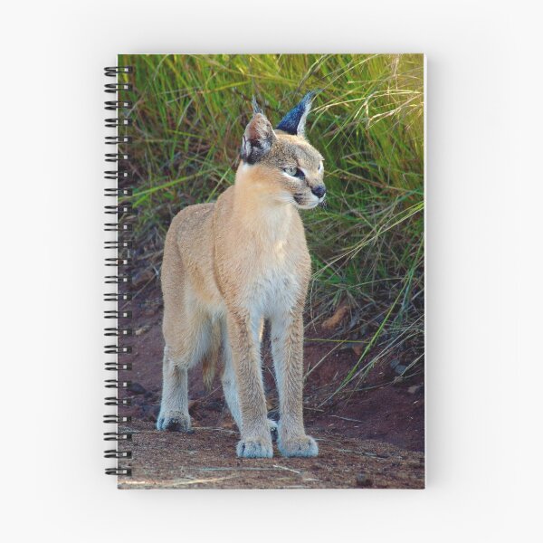 Item preview, Lynx  designed and sold by Leon Rossouw.