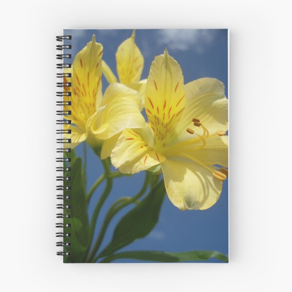 Item preview, Las Flores Amarillas designed and sold by insight.