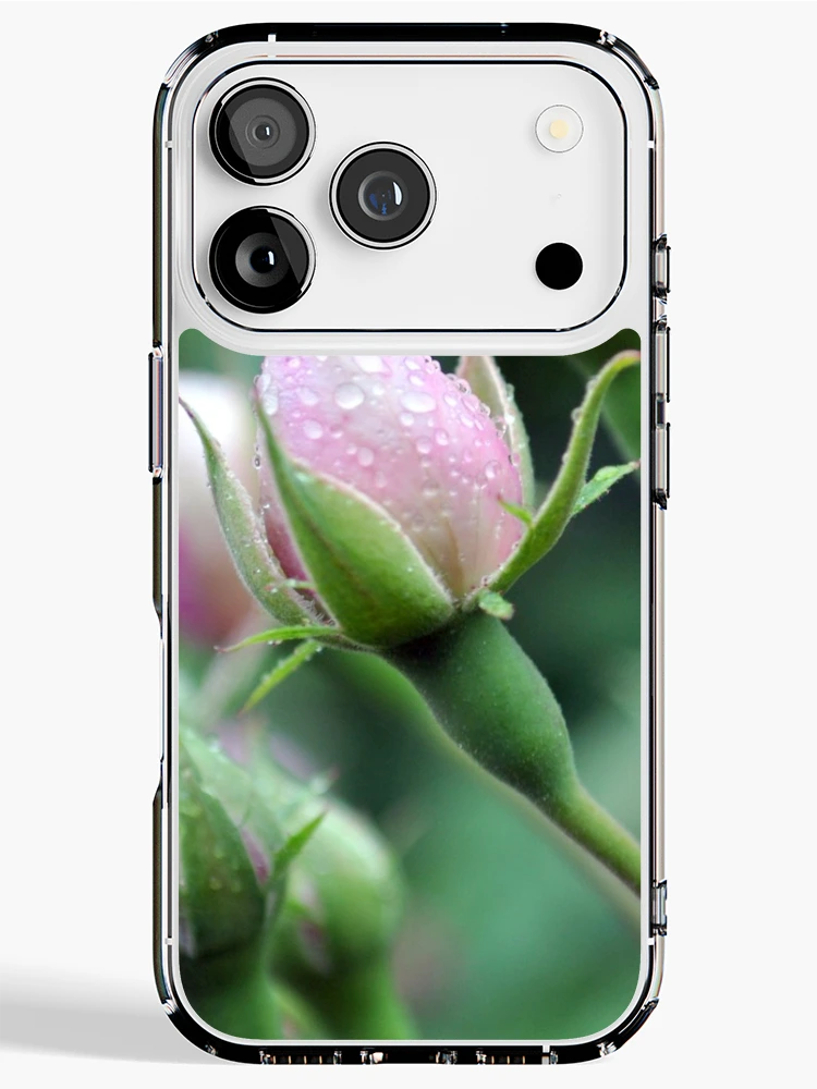 Thumbnail 1 of 5, iPhone Case, Pink Roses designed and sold by Blue Robin.