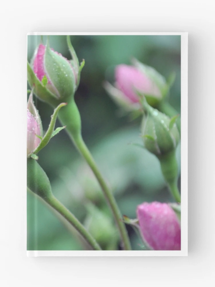 Thumbnail 1 of 3, Journal, Pink Roses designed and sold by Blue Robin.