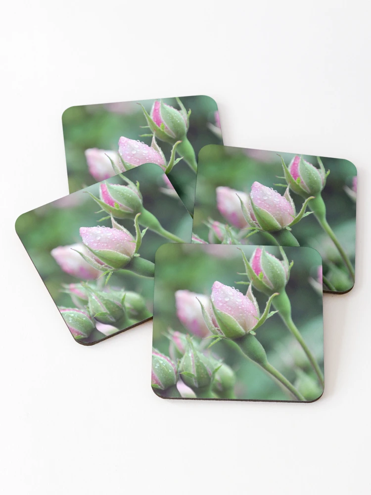 Thumbnail 1 of 5, Coasters (Set of 4), Pink Roses designed and sold by Blue Robin.
