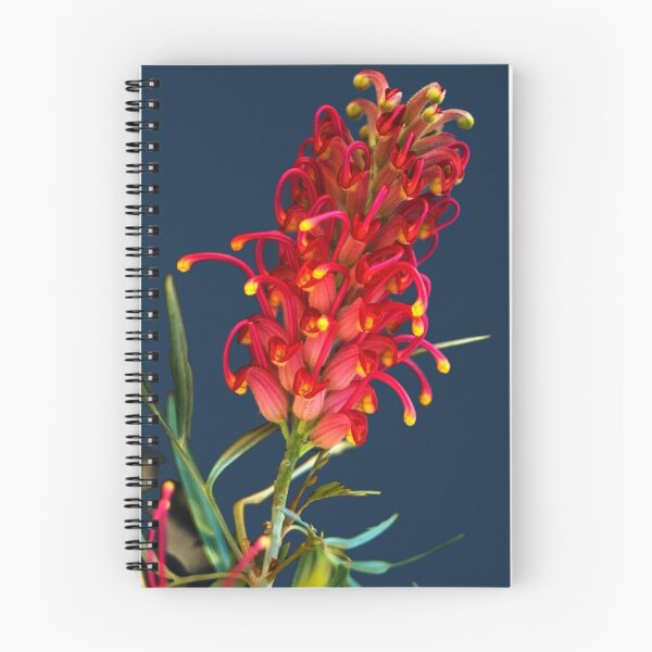 Item preview, Grevilla Banksii (Red silky oak) designed and sold by Arthur  Plottier.