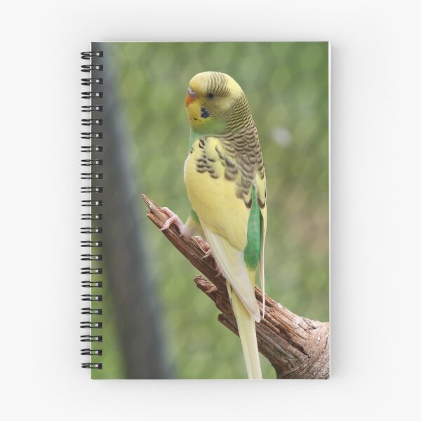 Artikelvorschau, Parakeet #9 entworfen und verkauft von ZeeZeeshots.