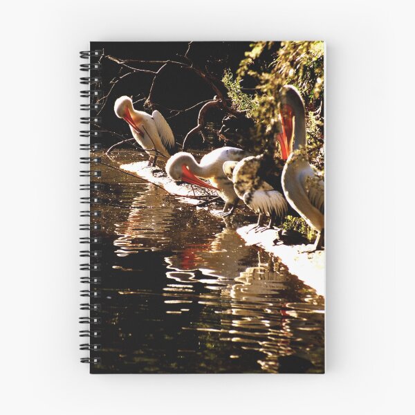 Item preview, Pelicans designed and sold by Tamara  Kenneally.