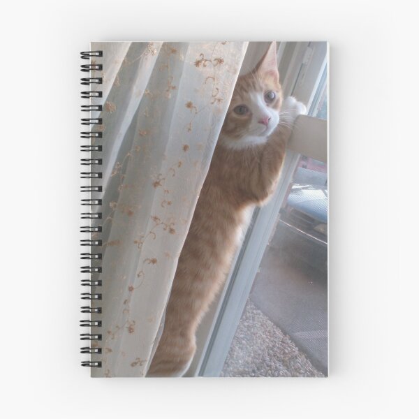 Item preview, You let me out now? designed and sold by taylorc.