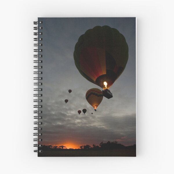 Item preview, 7 balloons designed and sold by Peter Hodgson.
