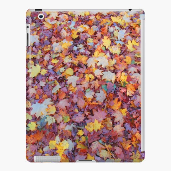 wundervolle, bunte Blätter im Herbst, Baum, Laub, Jahreszeit iPad – Leichte Hülle