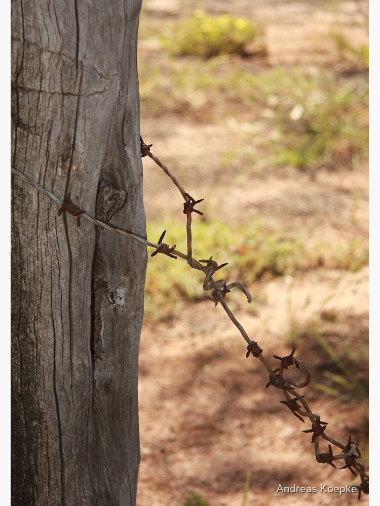Old barbed wire by mistered