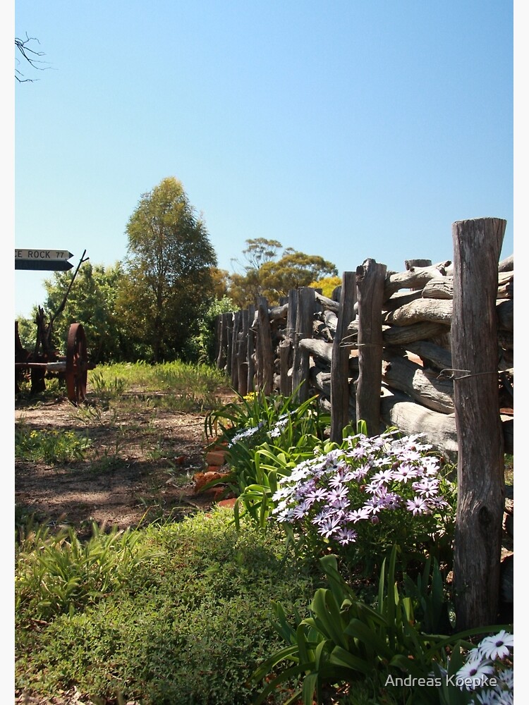 Flowers by the fence by mistered