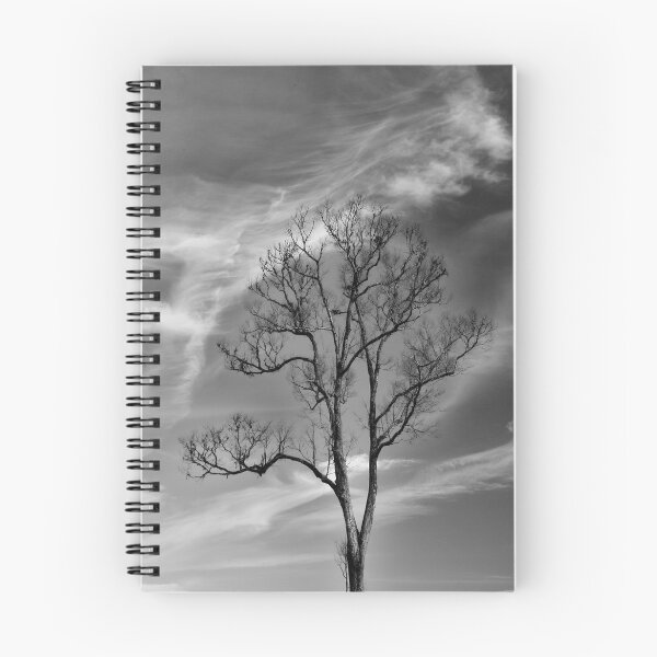 Item preview, Naked Tree designed and sold by Steven  Siow.