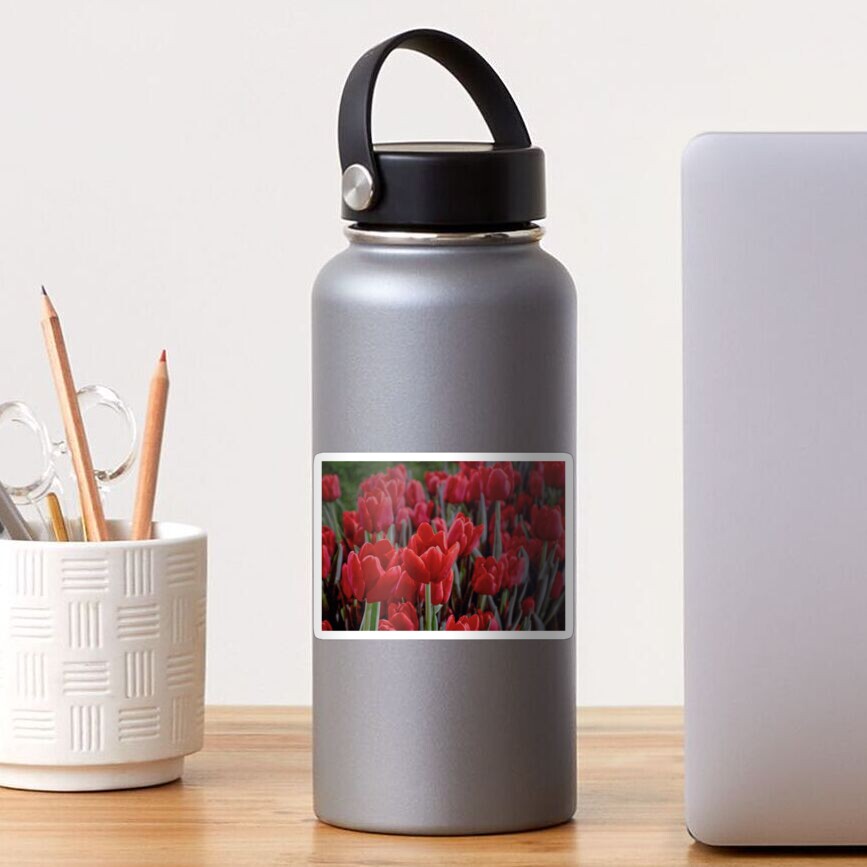 Red Tulips Close Up Sticker