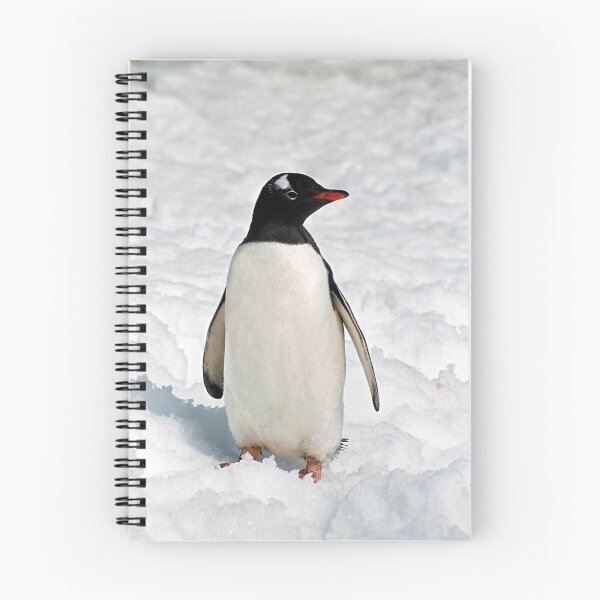 Item preview, Gentoo on Ice designed and sold by Rosie Appleton.