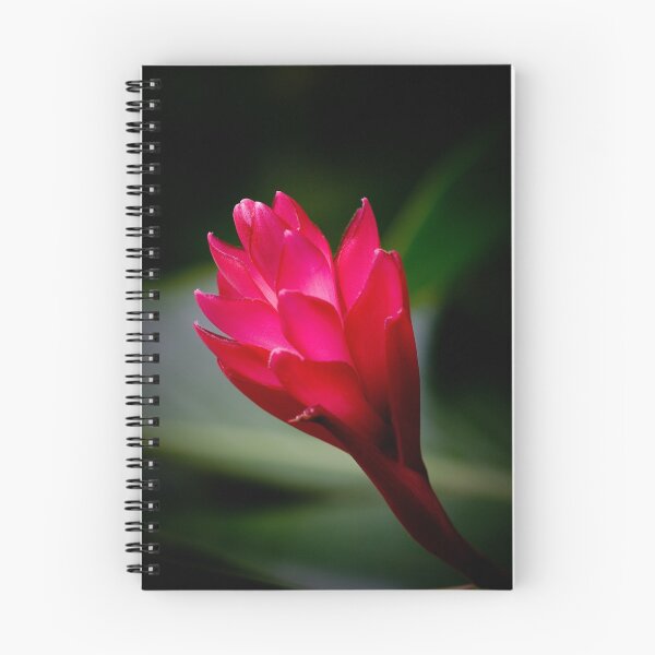 Item preview, Red Of Ko Samui designed and sold by MiImages.