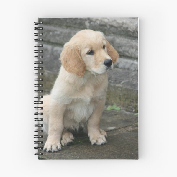 Item preview, Perfect Puppy designed and sold by Justine Humphries.