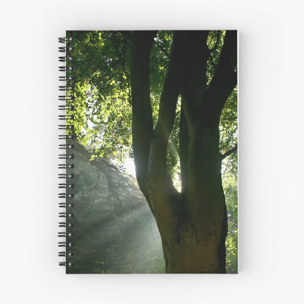 Item preview, Sunday morning mist 1 designed and sold by Bev Evans.