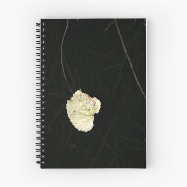Item preview, Suspended designed and sold by rdshaw.