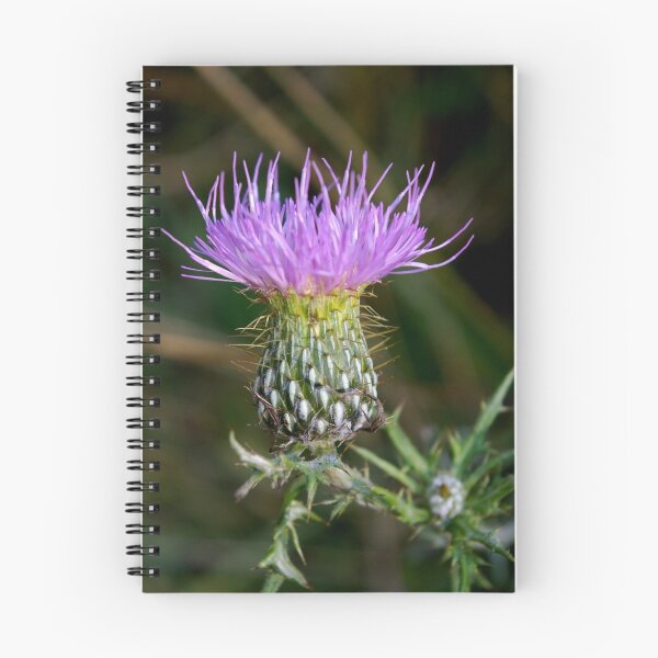 Item preview, Thistle designed and sold by rdshaw.