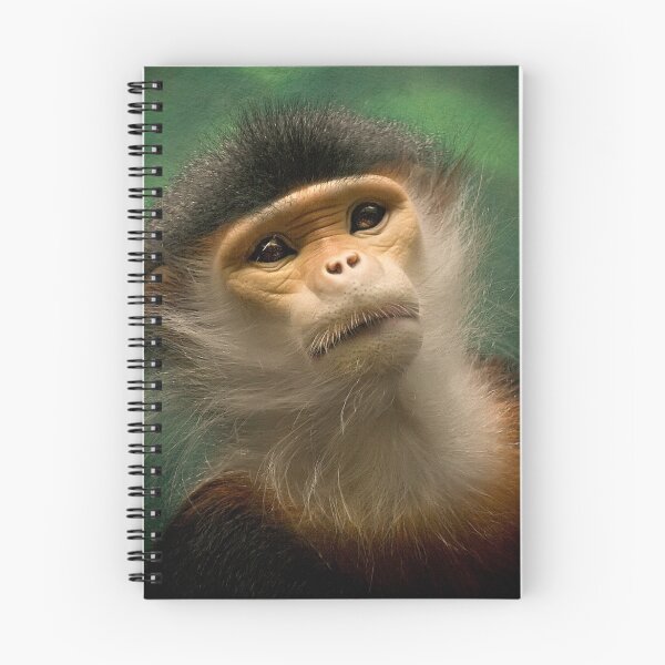 Item preview, Interest designed and sold by Cheri McEachin.