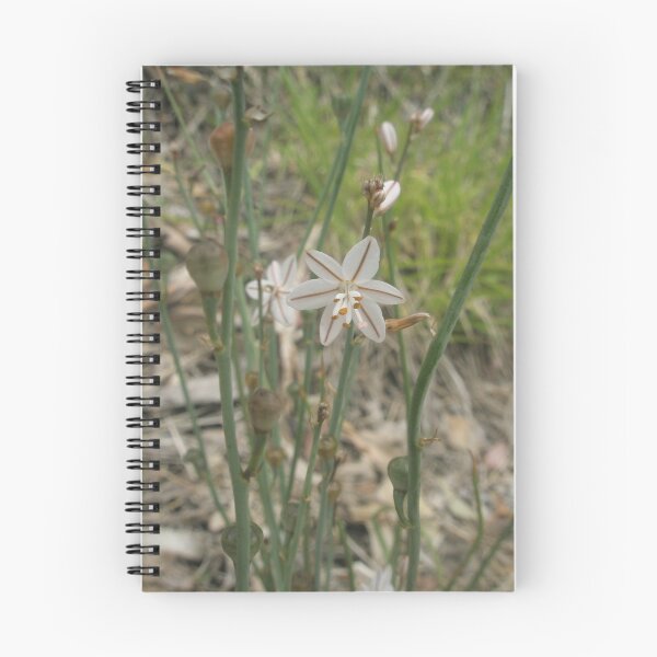 Item preview, Striped Wildflower designed and sold by Melissa Park.