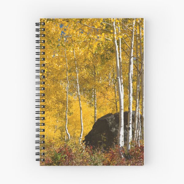 Item preview, Colorado Fall designed and sold by Linda J Armstrong.