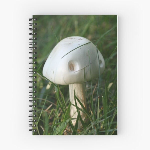 Item preview, The Perfect Little Mushroom House designed and sold by JazzyCricket.