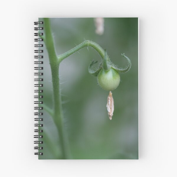 Item preview, Tiny Tomato with Deflated Flower designed and sold by JazzyCricket.
