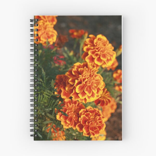 Item preview, Marigolds Illuminated by Sunshine designed and sold by JazzyCricket.