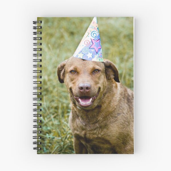 Artikelvorschau, Birthday Wishes entworfen und verkauft von KerrieT.