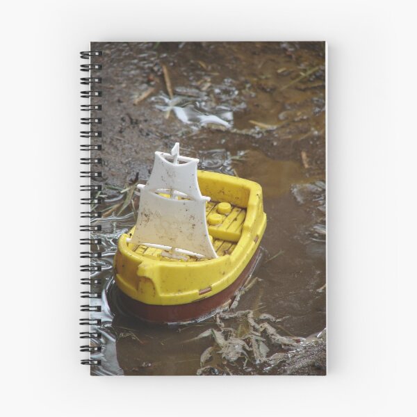 Aperçu de l'œuvre Muddy boat créée et vendue par kazzd.