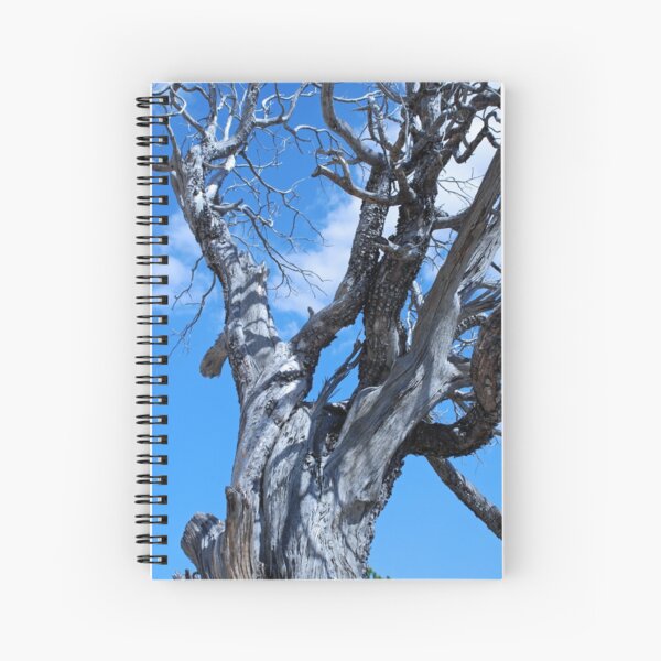 Silver Tree Spiral Notebook