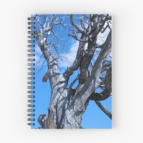 Item preview, Silver Tree designed and sold by Barbara Manis.