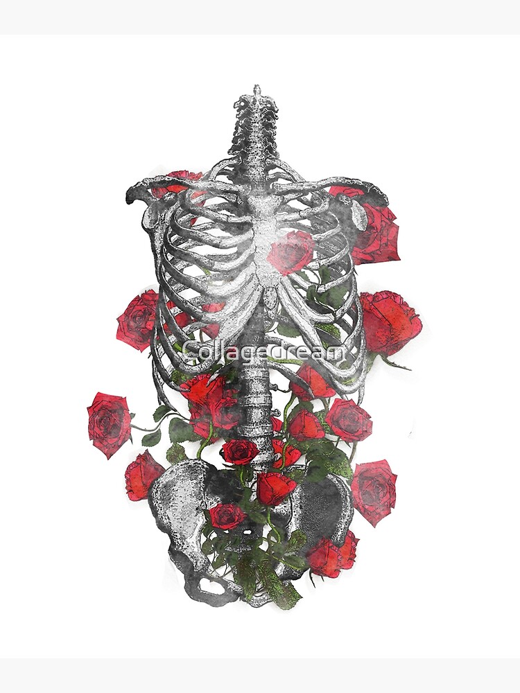 Red Roses And Human Anatomy Rib Cage Floral Skeleton Art Print By Collagedream Redbubble