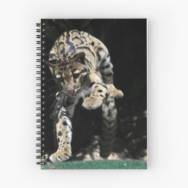 Item preview, The Leap designed and sold by Anne Smyth.