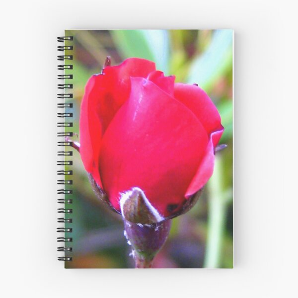 Item preview, Rosebud designed and sold by Honor Kyne.