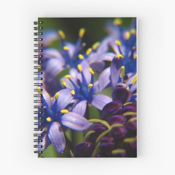 Item preview, Hyacinth designed and sold by Beth A.