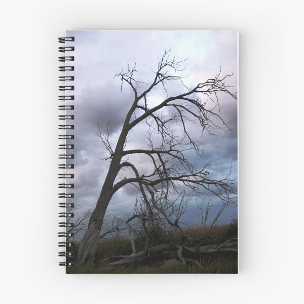 Item preview, Desolation designed and sold by wwyz.