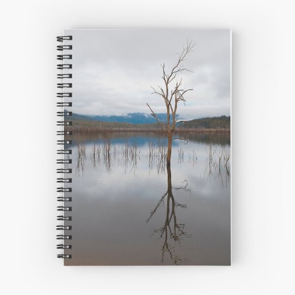 Artikelvorschau, Reflections of the Dead - in colour entworfen und verkauft von Tim O'Neil.