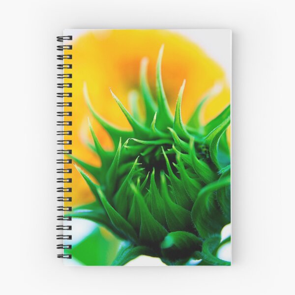 Item preview, Sunflower Bud designed and sold by Jeff Harris.