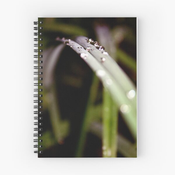 Item preview, Por la mañana... designed and sold by LinaJ.