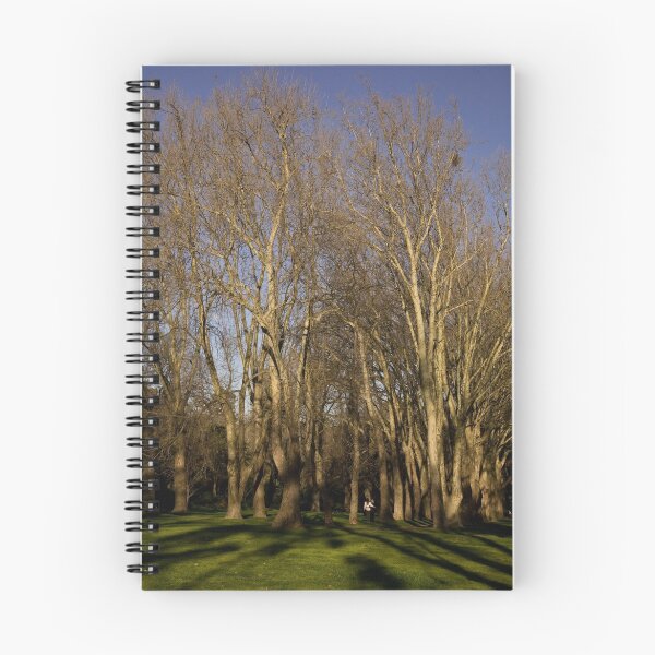 Item preview, Fitzroy gardens designed and sold by RosinaLamberti.