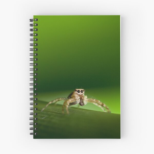 Item preview, Jumping Spider designed and sold by Daniel Spruce.