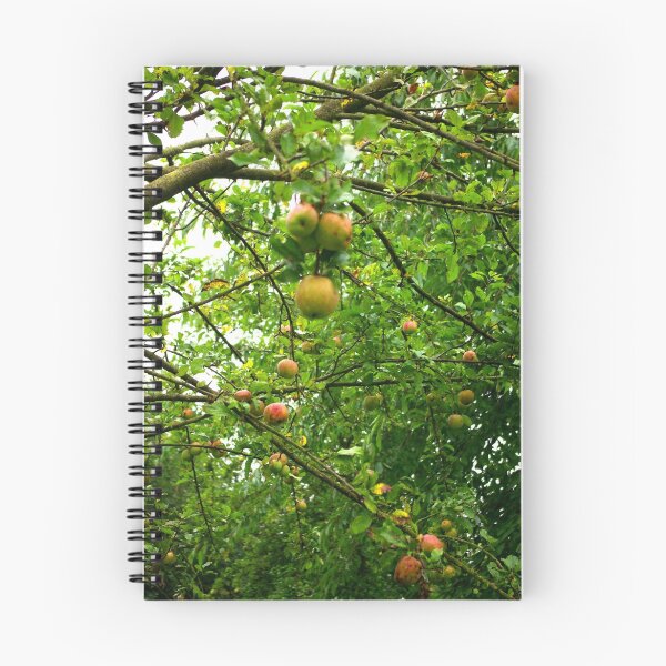 Artikelvorschau, Apples entworfen und verkauft von Trevor Kersley.