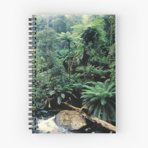 Item preview, Rainforest, East Gippsland. designed and sold by Ern Mainka.