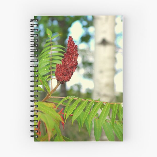 Item preview, Touch of Red designed and sold by Thomas Sielaff.